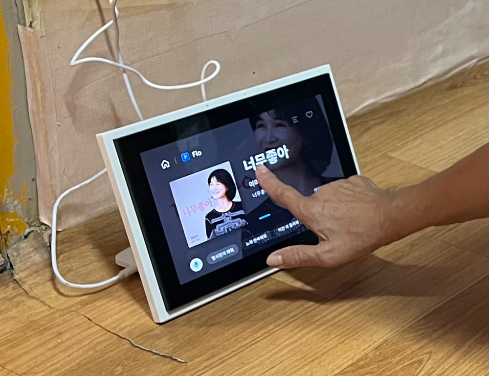 세이프존